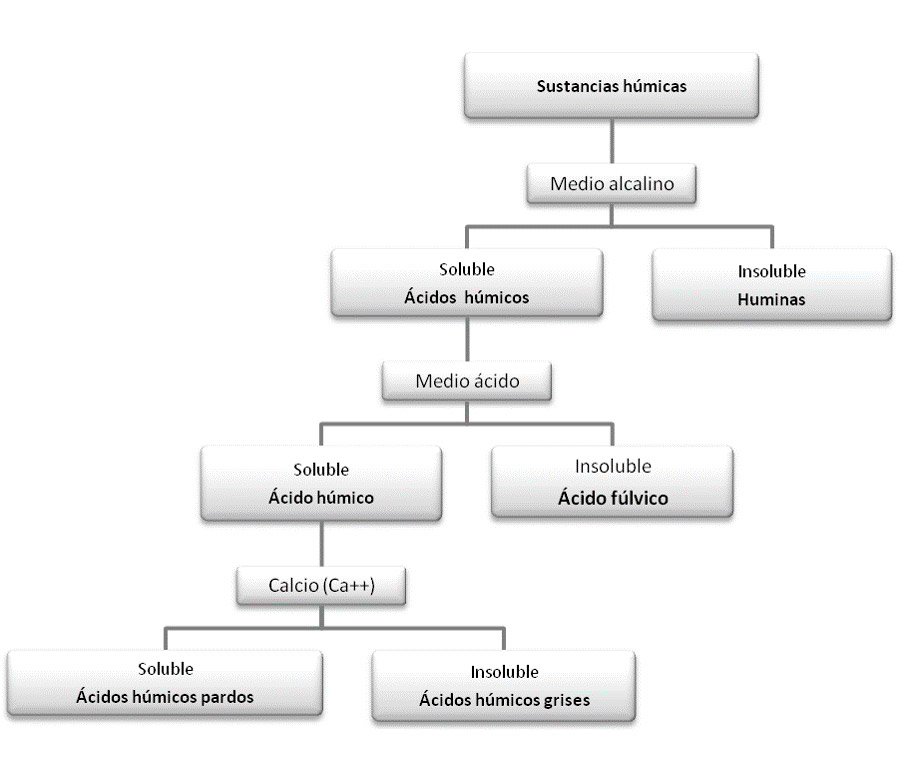 Ácidos Húmicos y Fúlvicos